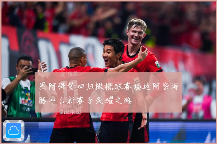 图阿强势回归橄榄球赛场迈阿密海豚冲击新赛季荣耀之路